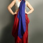 Khadi Cotton saree - Red Blue ZAR541